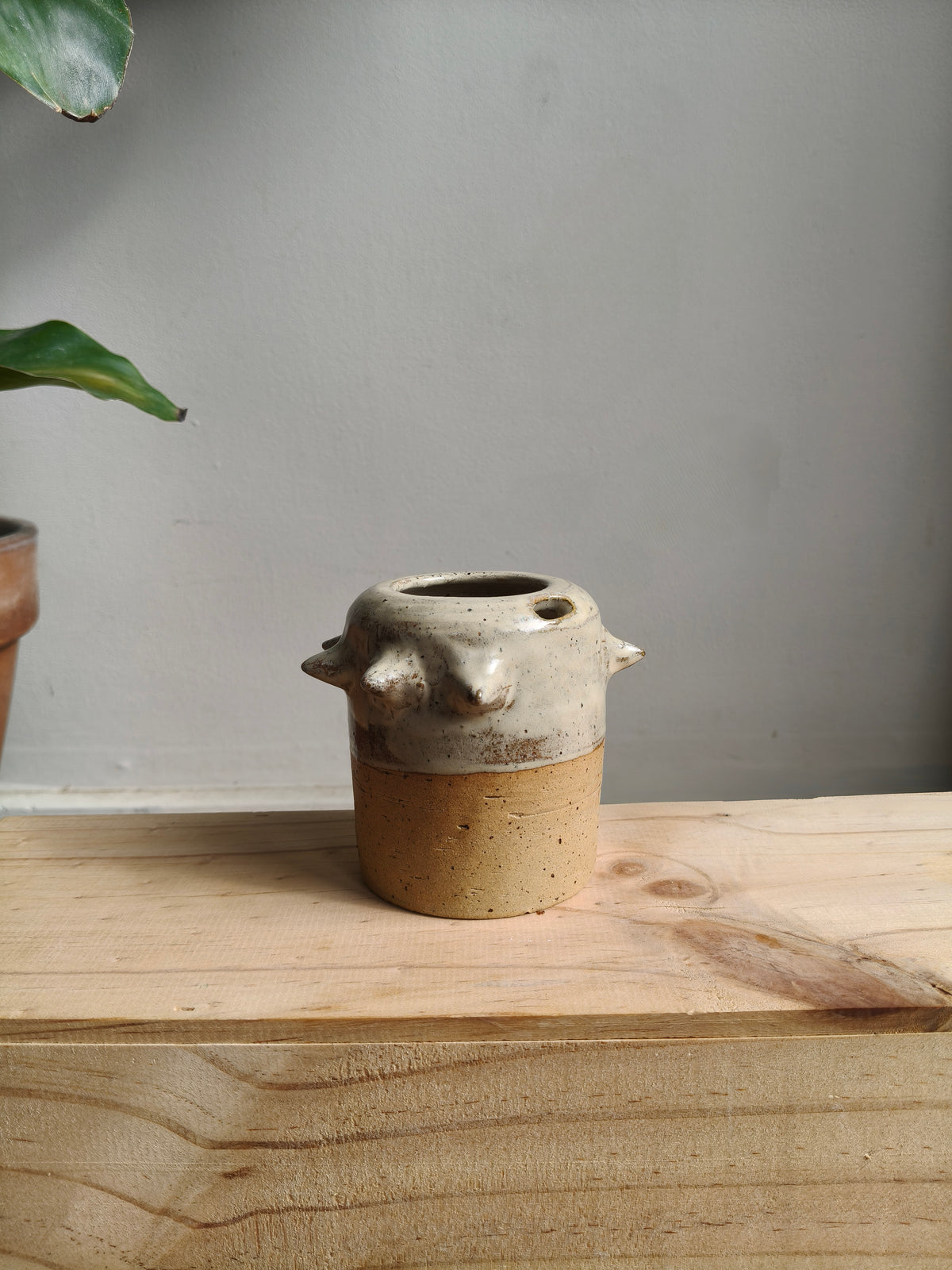 The Muse. Takeaway Cup