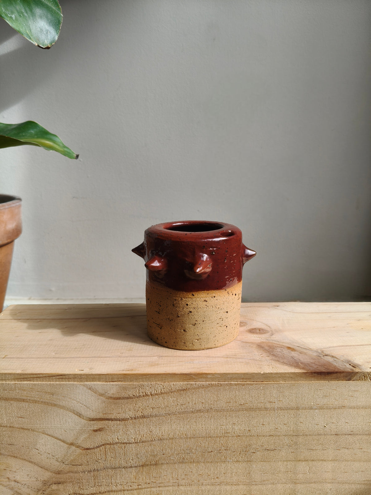 The Muse. Takeaway Cup
