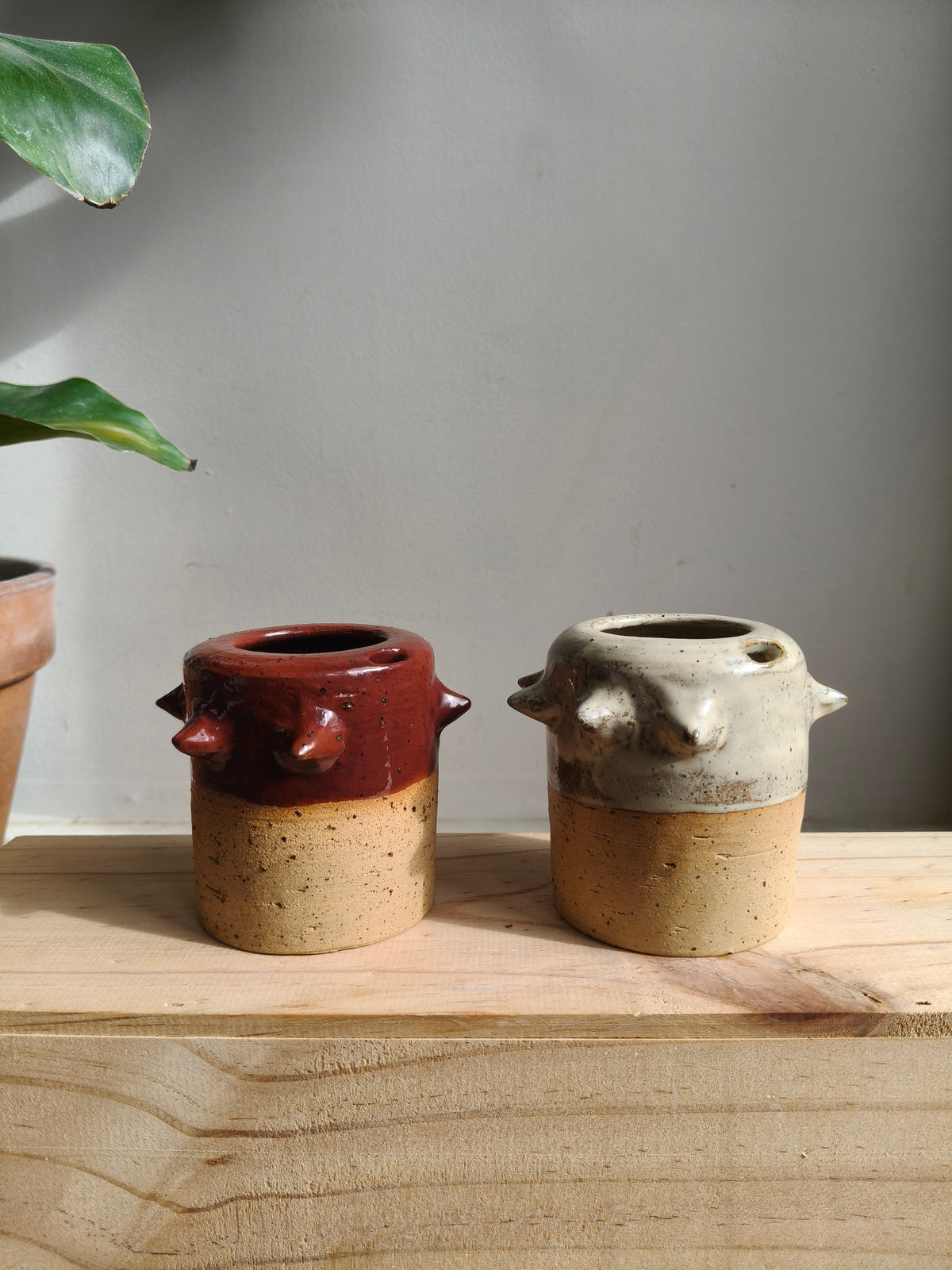 The Muse. Takeaway Cup