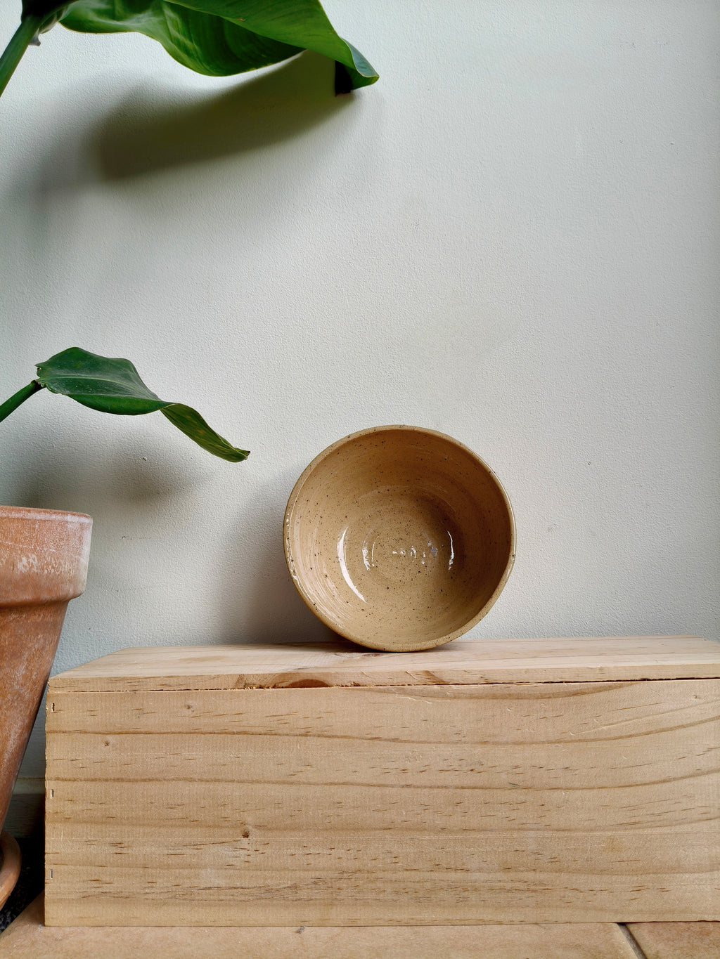 Scalloped bowl - hand painted - medium